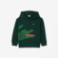 Εικόνα της Παιδικό Crocodile Graphic Hoodie Φούτερ