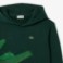 Εικόνα της Παιδικό Crocodile Graphic Hoodie Φούτερ