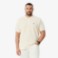 Εικόνα της Ανδρική French Made  L.12.12 Polo Μπλούζα Classic Fit