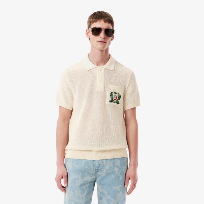 Εικόνα της Ανδρικό French Made Polo Collar Πουλόβερ