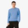 Εικόνα της Ανδρικό Crew Neck Πουλόβερ από Μαλλί Merino
