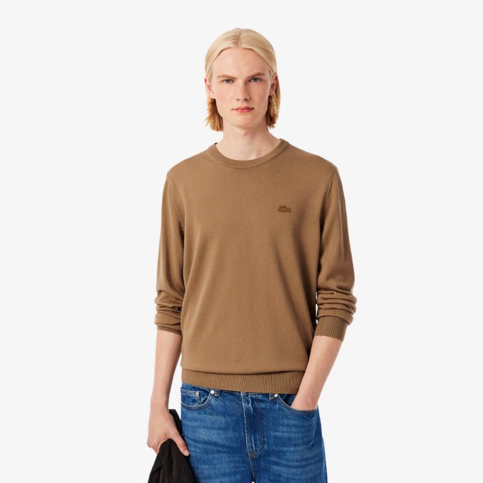 Εικόνα της Ανδρικό Crew Neck Πουλόβερ από Μαλλί Merino