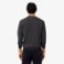 Εικόνα της Ανδρικό Crew Neck Πουλόβερ από Μαλλί Merino