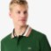 Εικόνα της Ανδρική Made in France Stripe Collar Polo Μπλούζα Classic Fit 