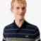 Εικόνα της Ανδρική Striped Ultra Dry Stretch Golf Polo Μπλούζα 