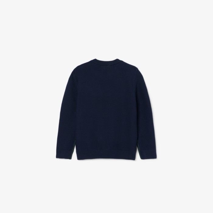 Εικόνα της Παιδικό Βαμβακερό Crew Neck Πουλόβερ 