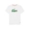 Ανδρικό Roland-Garros Edition Tennis T-shirt-3TH0338|L001