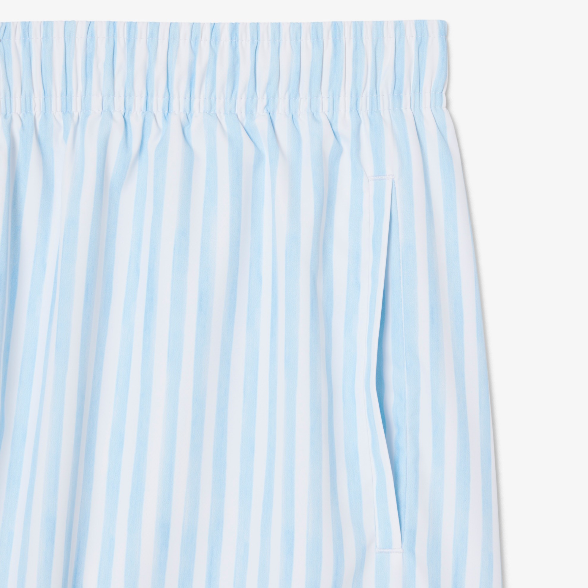 Εικόνα της Ανδρικό Mid Length Stripe Swim Μαγιό