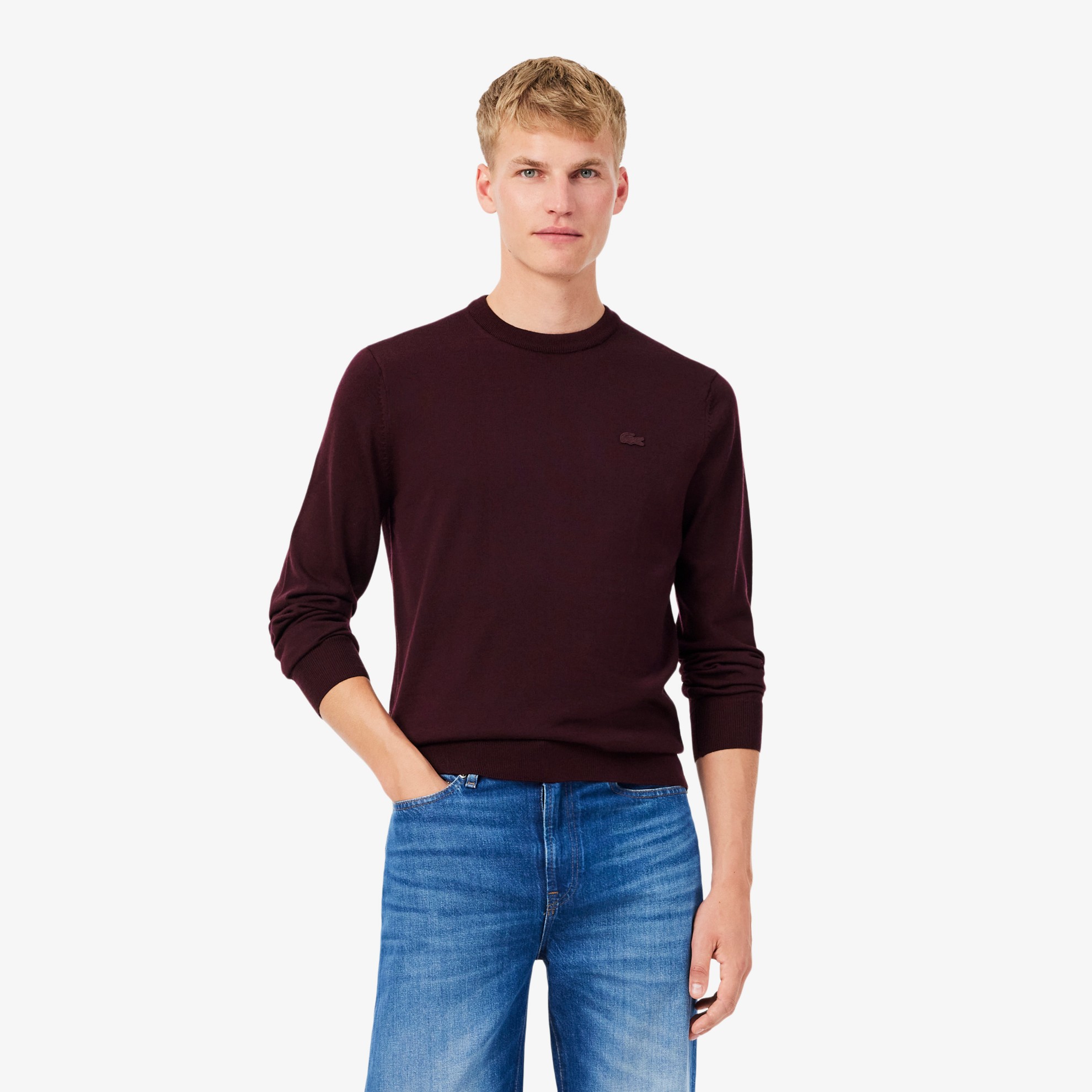 Εικόνα της Ανδρικό Crew Neck Πουλόβερ από Μαλλί Merino