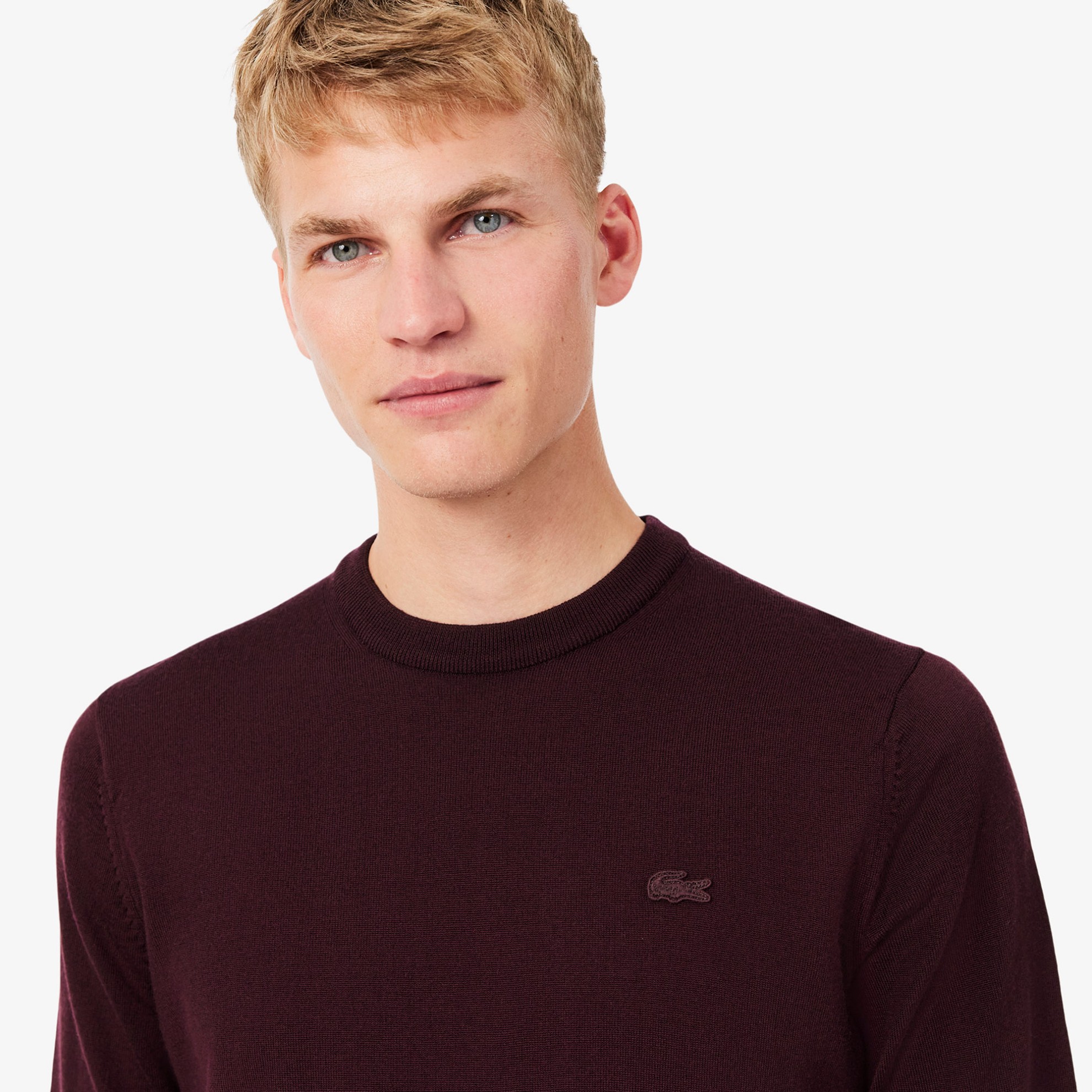 Εικόνα της Ανδρικό Crew Neck Πουλόβερ από Μαλλί Merino
